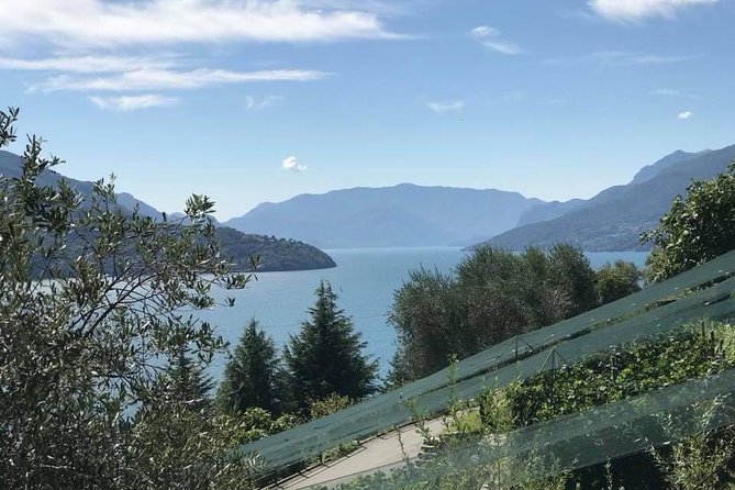 Domaso: Wine Tasting at the Winery on Como Lake - Wine Tasting Experience in Domaso