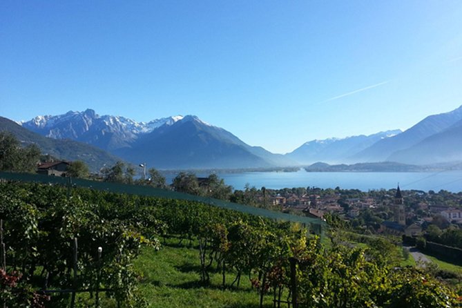 Domaso: Wine Tasting at the Winery on Como Lake - Well-Organized Event at the Winery