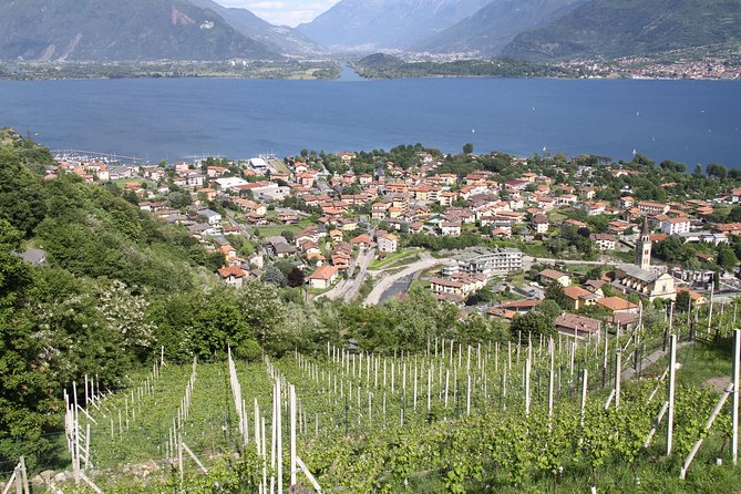 Domaso: Wine Tasting at the Winery on Como Lake - Additional Information for Visitors