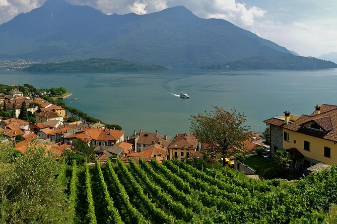Domaso: Wine Tasting at the Winery on Como Lake - Common Questions