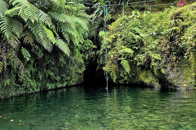 Dominica Adventure Hiking, Swimming, and Hot Springs Tour - Transportation, Group Size, and Overall Value