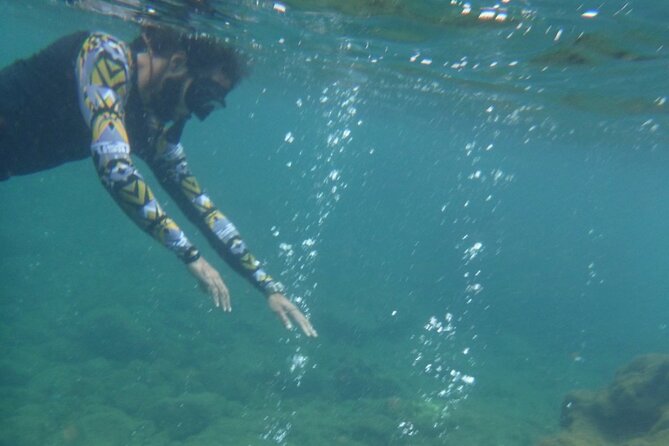 Dominica Chasing Waterfalls Experience - Inclusions and Services Provided