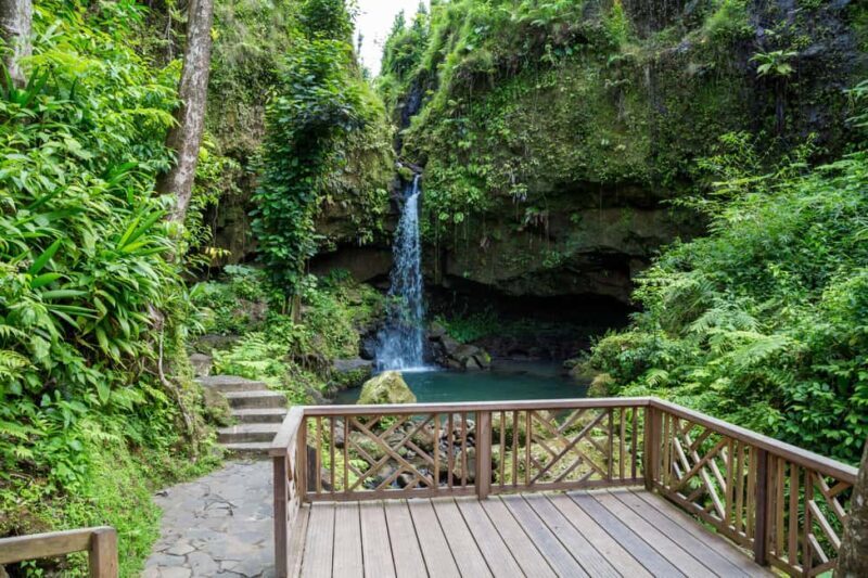 Dominica: Emerald Pool and Mero Beach Shore Excursion - A Deep Dive into the Experience