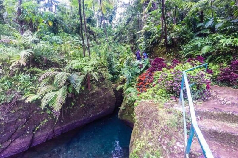 Dominica: Get Set Wet Day Tour - A Detailed Look at the Get Set Wet Day Tour