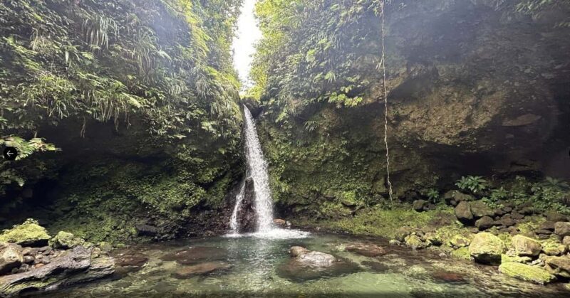 Dominica Hot Springs Waterfalls and Titou Gorge Treasures - An In-Depth Look at What the Tour Offers