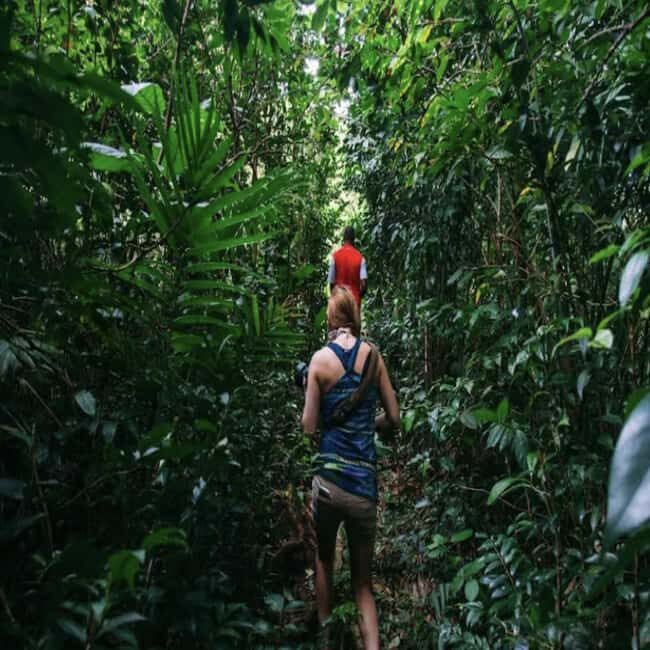 Dominica Hot Springs Waterfalls and Titou Gorge Treasures - FAQ