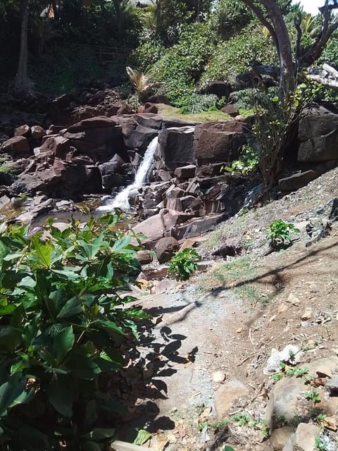 Dominica: Indian Village, Hidden Gems & British Battle Fort. - Inclusions