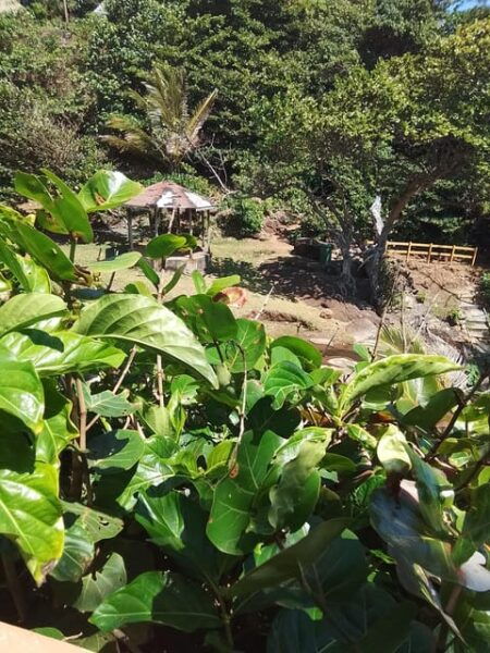 Dominica: Indian Village, Hidden Gems & British Battle Fort. - Important Information