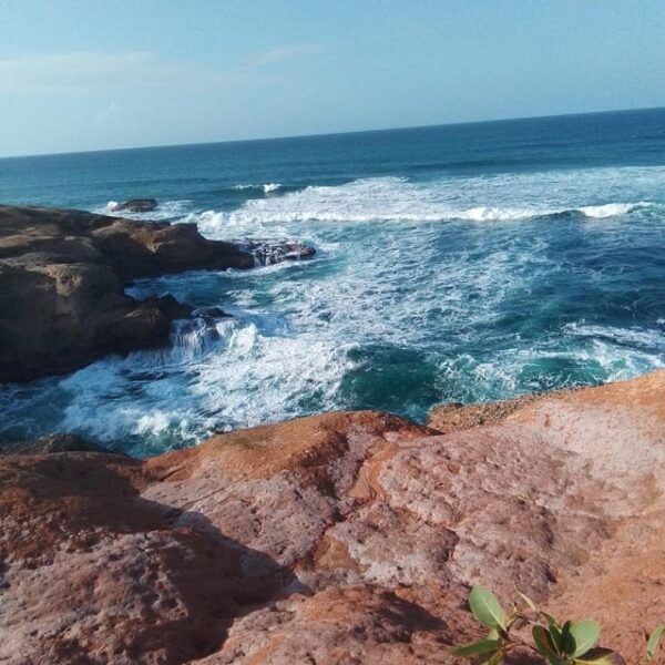 Dominica: Indian Village, Hidden Gems & British Battle Fort. - Customer Feedback