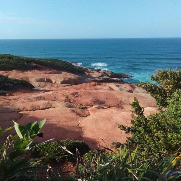 Dominica: Indian Village, Hidden Gems & British Battle Fort. - Getting There