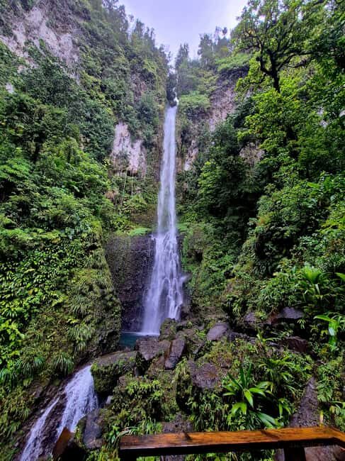 Dominica: Middleham Falls, Titou Gorge, and Trafalgar Falls - Good To Know