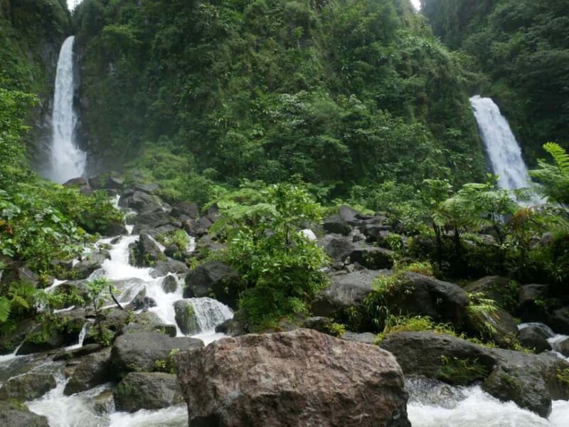 Dominica: Rain Forest Adventure with Waterfall Swim - Exploring Dominica’s Scenic Highlights