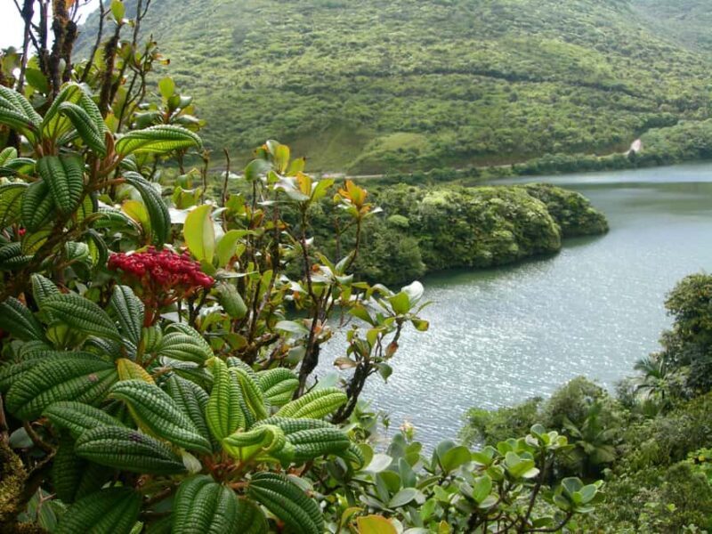 Dominica: Rain Forest Adventure with Waterfall Swim - Exploring Titou Gorge’s Hidden Waterfall