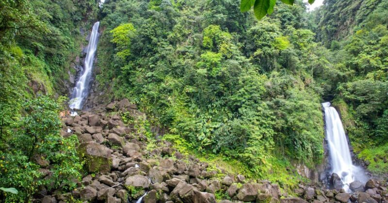 Dominica: Safari Scenic Tour with Karaoke - Viewing Trafalgar Waterfalls