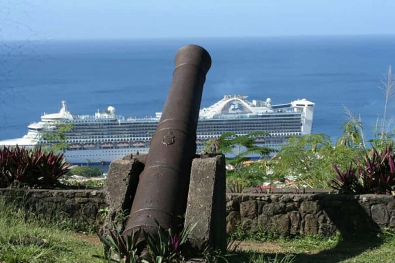 Dominica: Safari Scenic Tour with Karaoke - Wrapping Up with Karaoke Fun