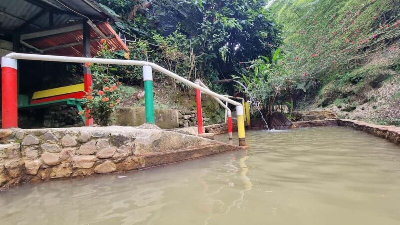 Dominica: Titou Gorge and Hot Springs Tour with Transfer - A Deep Dive into the Experience