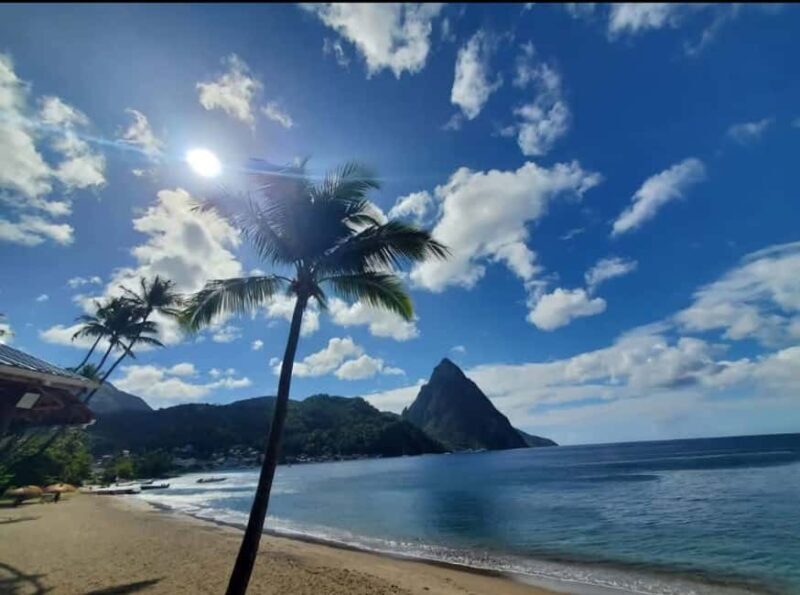 Dominica Waterfalls Chasing and Snorkeling Experience - What Past Travelers Say