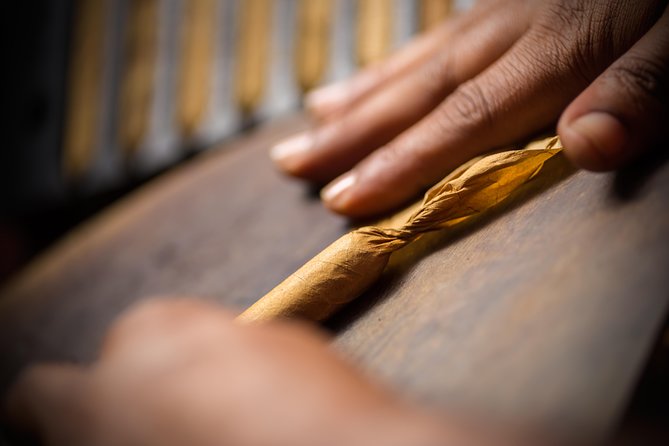 Dominican Cigar Factory Tour - Common Questions