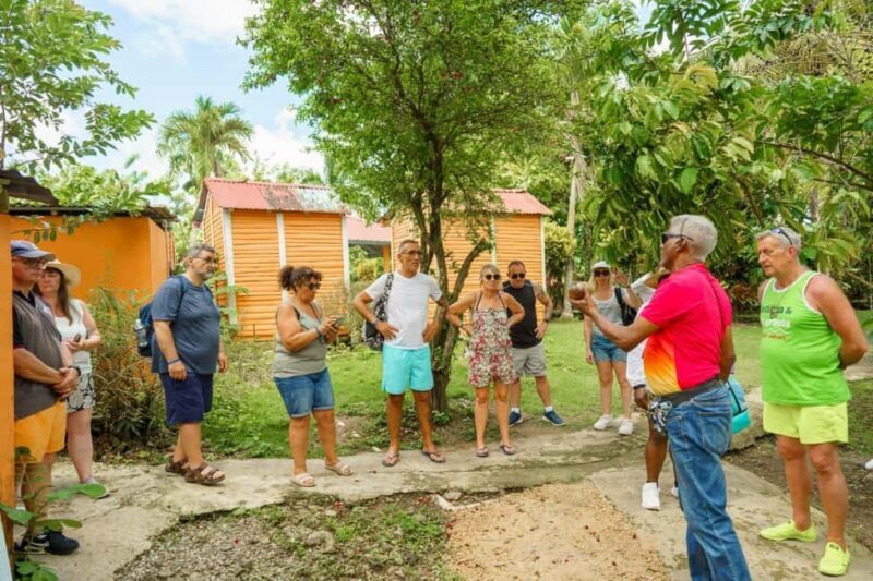 Dominican Culture & Buggy Family Adventure from Punta Cana - Practical Aspects and Considerations