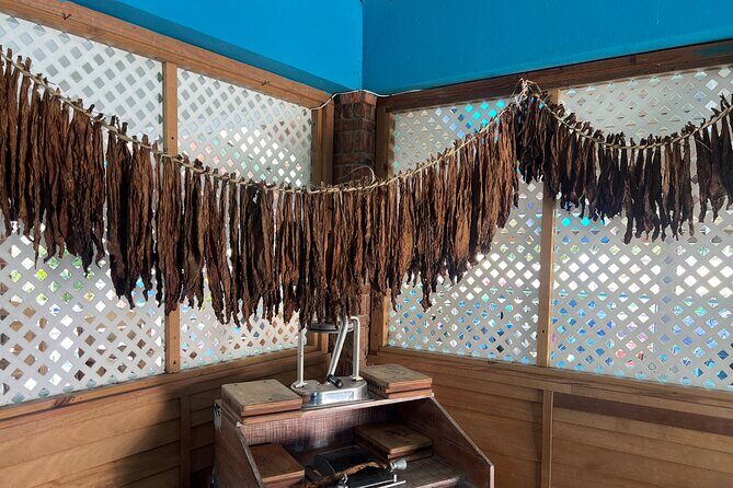 Dominican Culture Tour - Who Would Love This Tour?