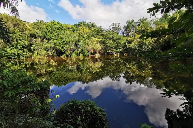 Dominican FLAVOR & COUNTRYSIDE SAFARI Pick-up Included - Good To Know