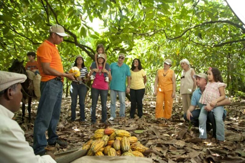 Dominican Republic: 3-Hour Chocolate Lovers Tour - A Thorough Look at the Tour Experience