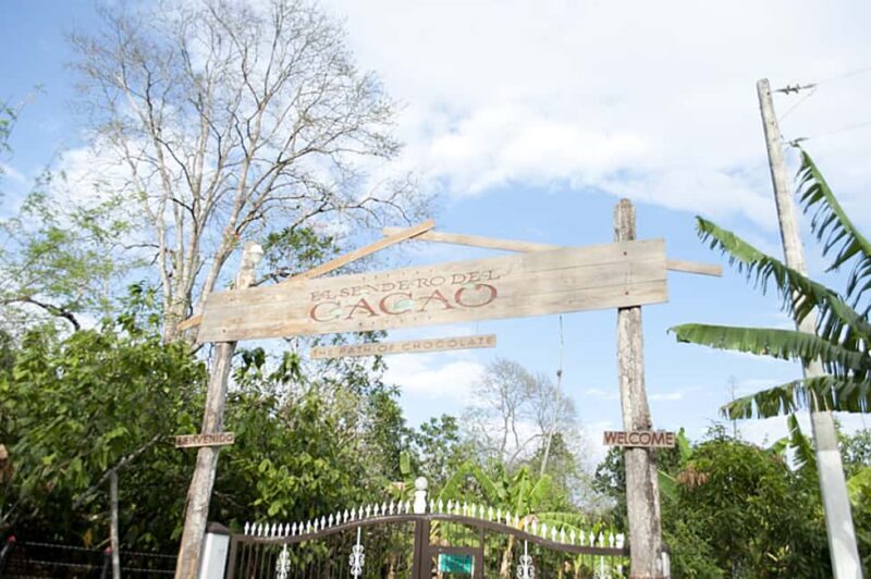 Dominican Republic: 3-Hour Chocolate Lovers Tour - Authentic Insights from Reviewers