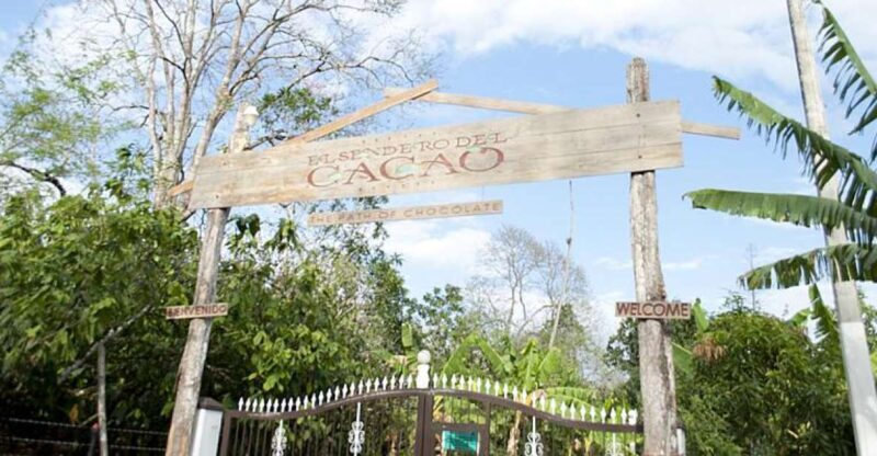 Dominican Republic: 3-Hour Chocolate Lovers Tour - FAQ