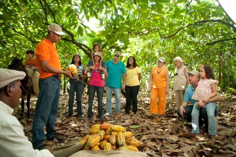 Dominican Republic Cacao Plantation Tour - Tour of La Esmeralda Chocolate Factory