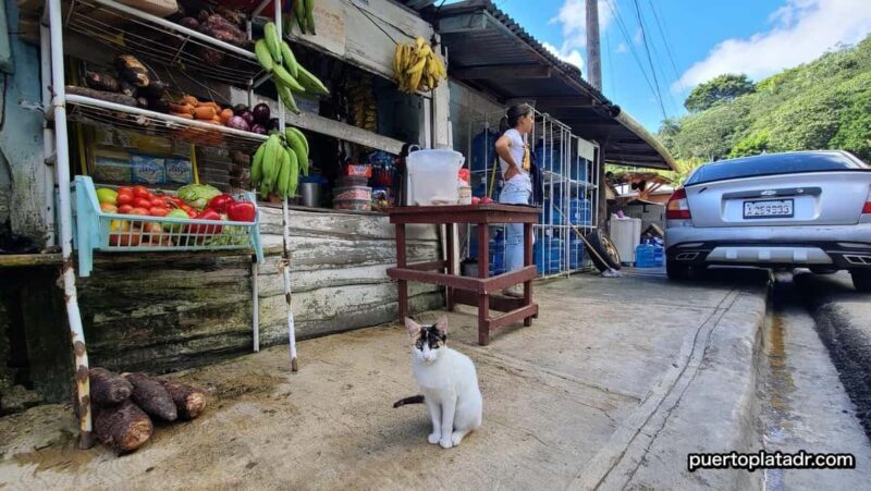 Dominican Republic Countryside Safari Tour from Puerto Plata - Good To Know
