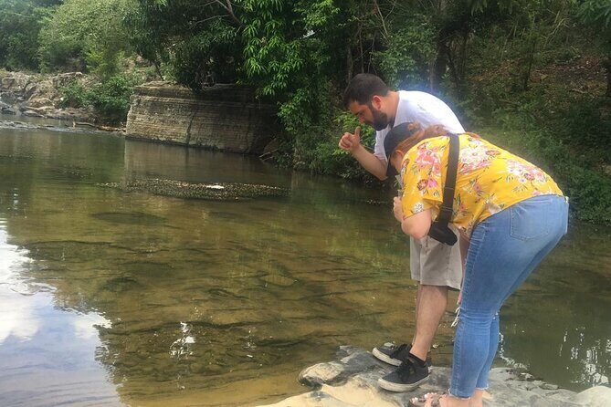 Dominican Republic Cultural Country Safari Tour from Punta Cana - The Sum Up