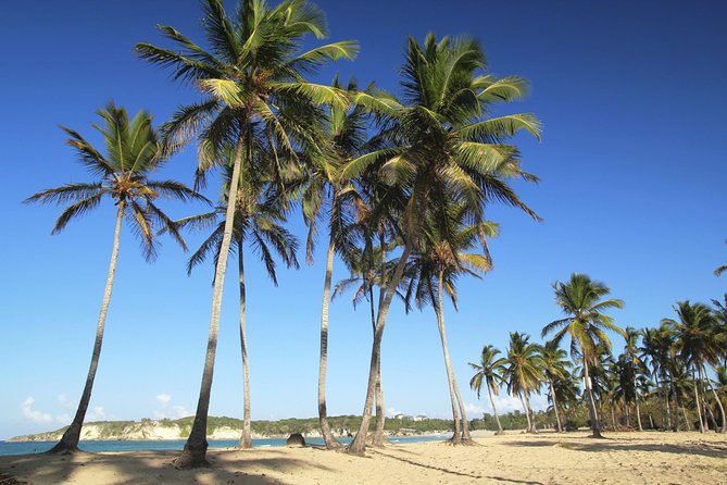 Dominican Republic Cultural Safari From Punta Cana - Customer Reviews
