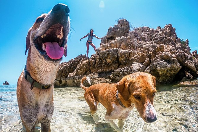 Dominican Republic Kiteboarding Experience - Cancellation and Refund Policy Details