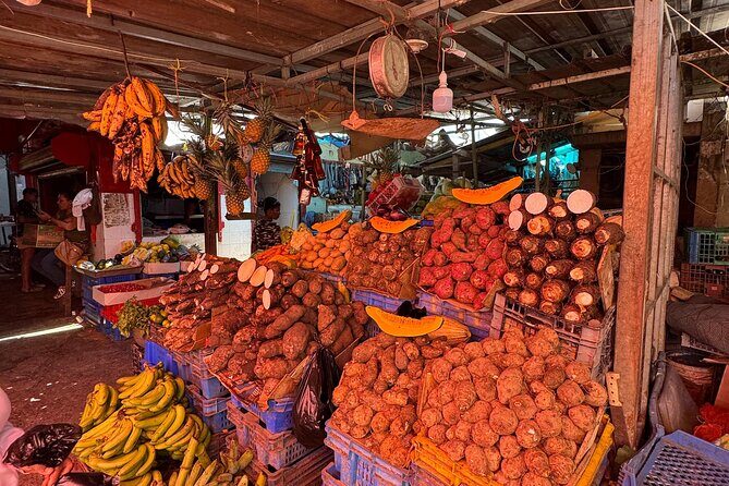 Dominican Roots: Unforgettable Cultural Adventure in Punta Cana - An In-Depth Look at the Tour Experience