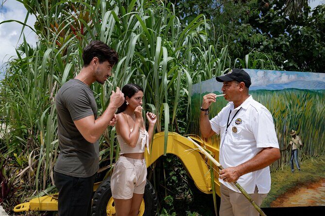 Dominican Safari Adventure: Culture, Nature & Macao Beach - Good To Know