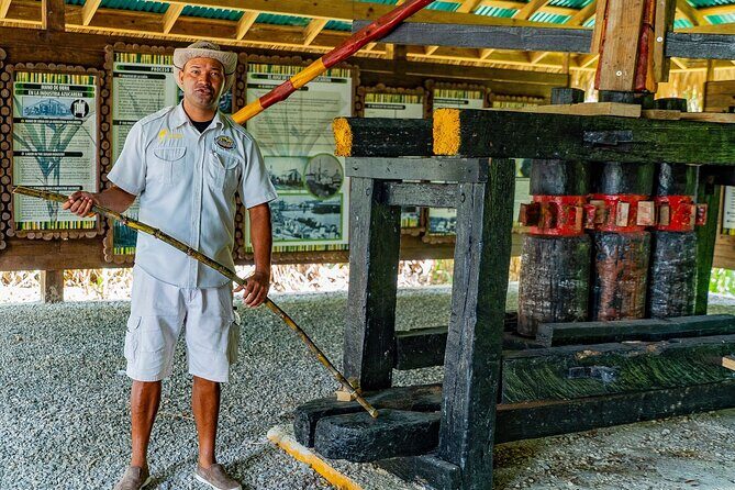 Dominican Safari Adventure: Culture, Nature & Macao Beach - An In-Depth Look at the Tour Experience