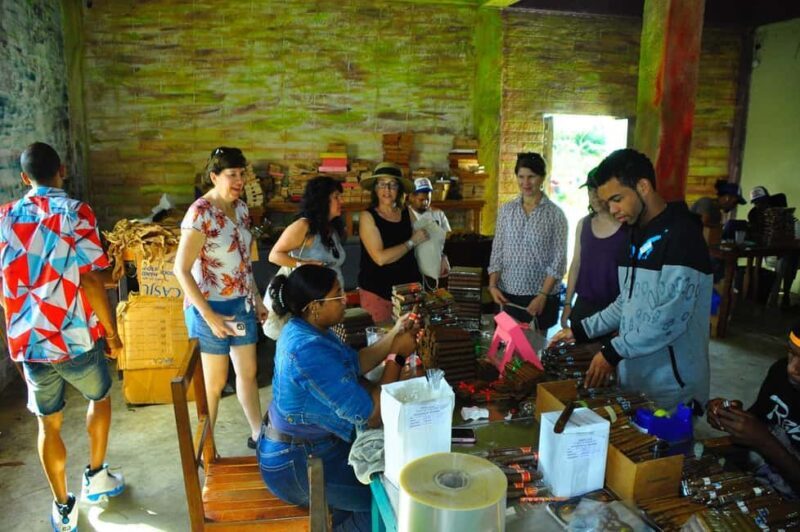 Dominican Safari from Punta Cana - FAQ