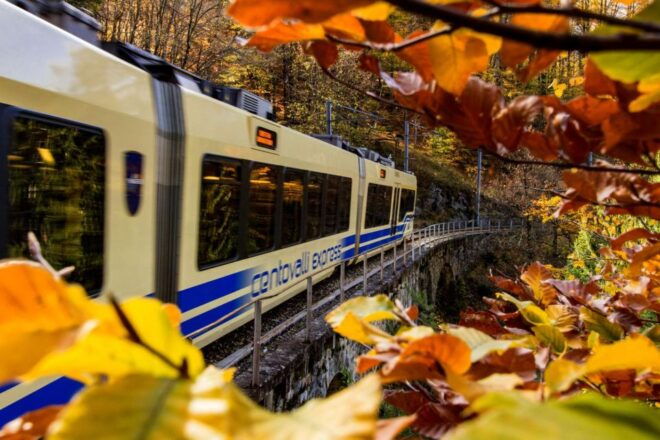 Domodossola: Centovalli Train & Valle Vigezzo Museums Ticket - Customer Reviews