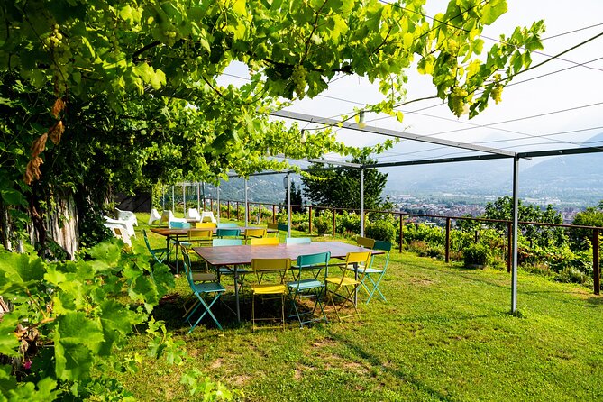 Domodossola: Ossola Valley Winery Tour With Tastings - The Sum Up