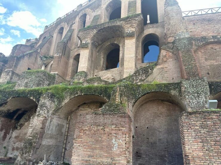 Domus Tiberiana, Roman Forum, and Palatine Hill Tour - Good To Know