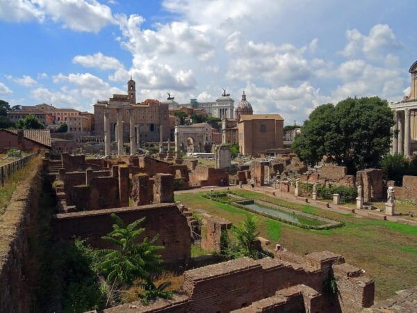 Domus Tiberiana, Roman Forum, and Palatine Hill Tour - What to Prepare