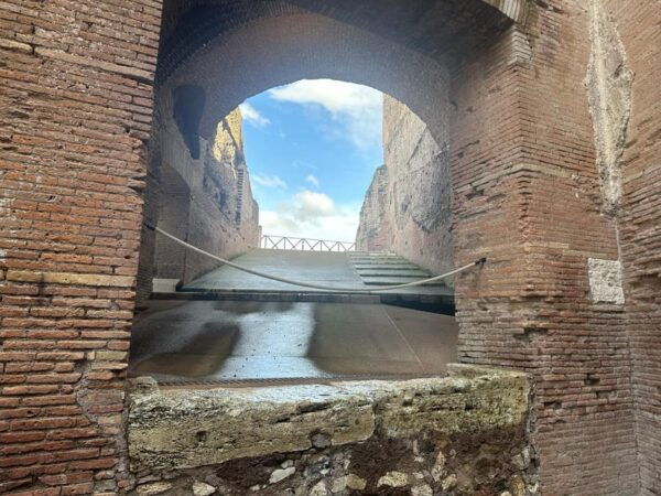 Domus Tiberiana, Roman Forum, and Palatine Hill Tour - Accessibility Considerations