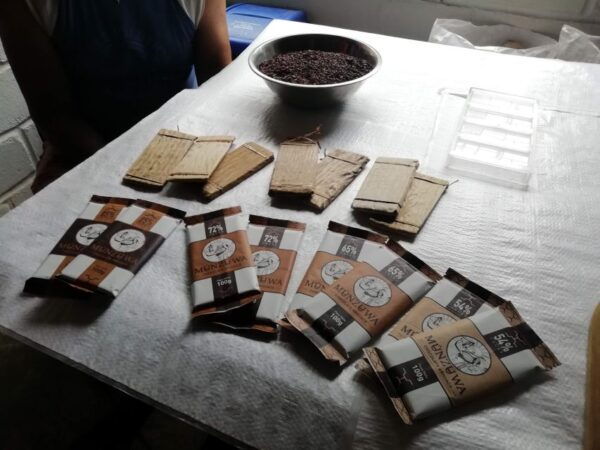 Don Diego – Taironaka & Cocoa Tour VIP - Safety Measures