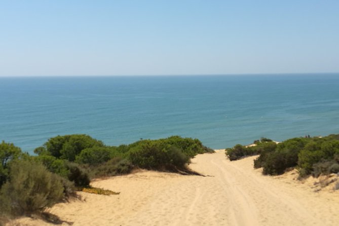 Donana National Park: 4x4 Guided Day Tour From Seville - Traveler Experiences and Feedback