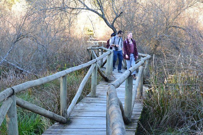 Donana National Park: 4x4 Guided Day Tour From Seville - Pricing and Value