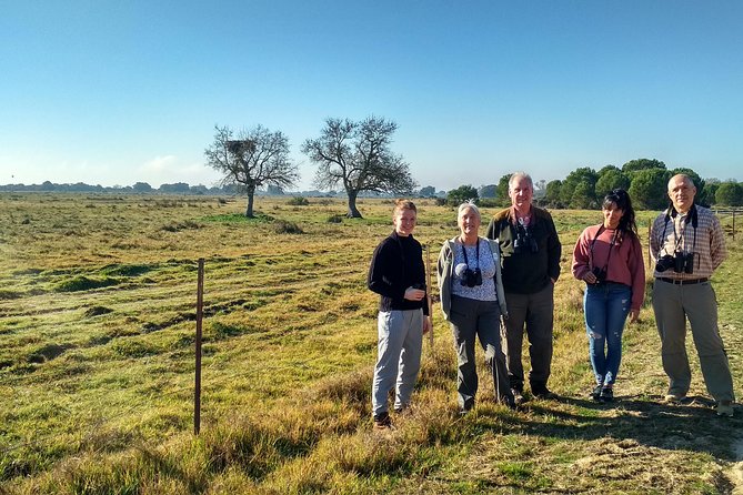 Donana National Park: 4x4 Guided Day Tour From Seville - Common Questions