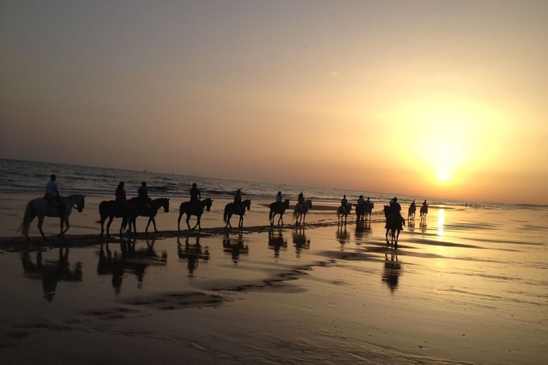 Donana National Park and El Rocio Village Day Tour from Seville - El Rocío’s sandy streets and pilgrimage shrine