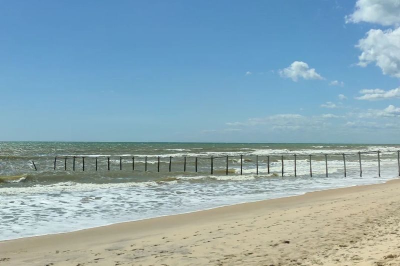 Donana National Park and El Rocio Village Day Tour from Seville - Who should choose this day trip?