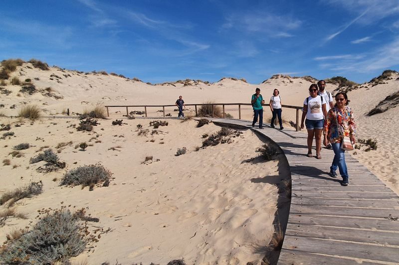 Donana National Park and El Rocio Village Day Tour from Seville - Should you book the Doñana day tour?