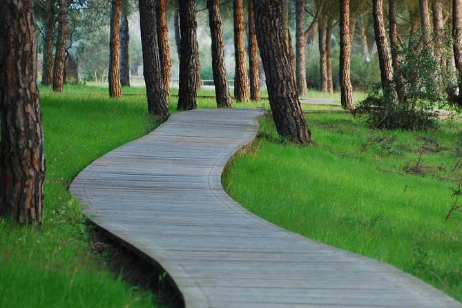 Donana National Park Horse or 4x4 Riding Day Trip - Traveler Photos and Reviews of the Day Trip